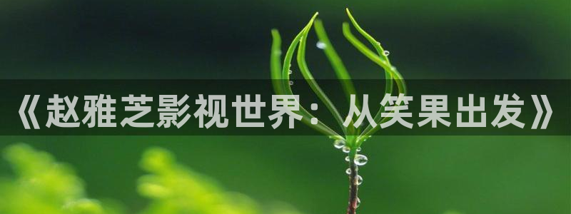 精东影业.：《赵雅芝影视世界：从笑果出发》