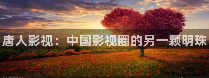 ,精东影业：唐人影视：中国影视圈的另一颗明珠