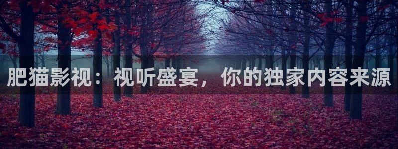 免费看精东影业：肥猫影视：视听盛宴，你的独家内容来源